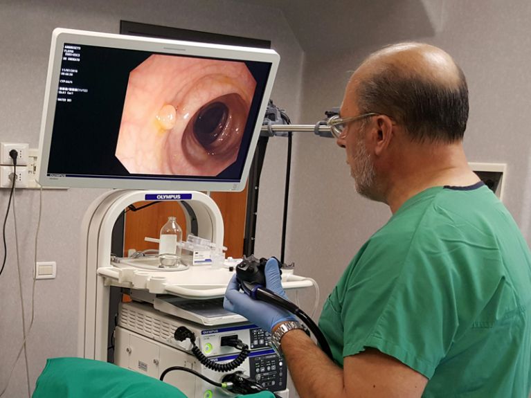 Epatologia Roma